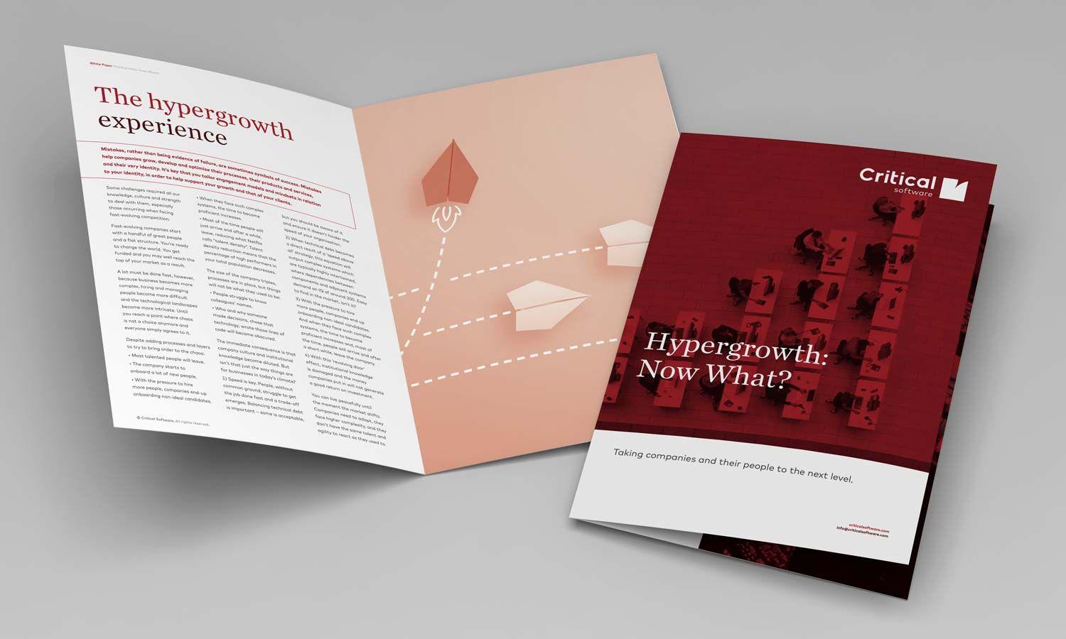 Ecommerce Hypergrowth Whitepaper