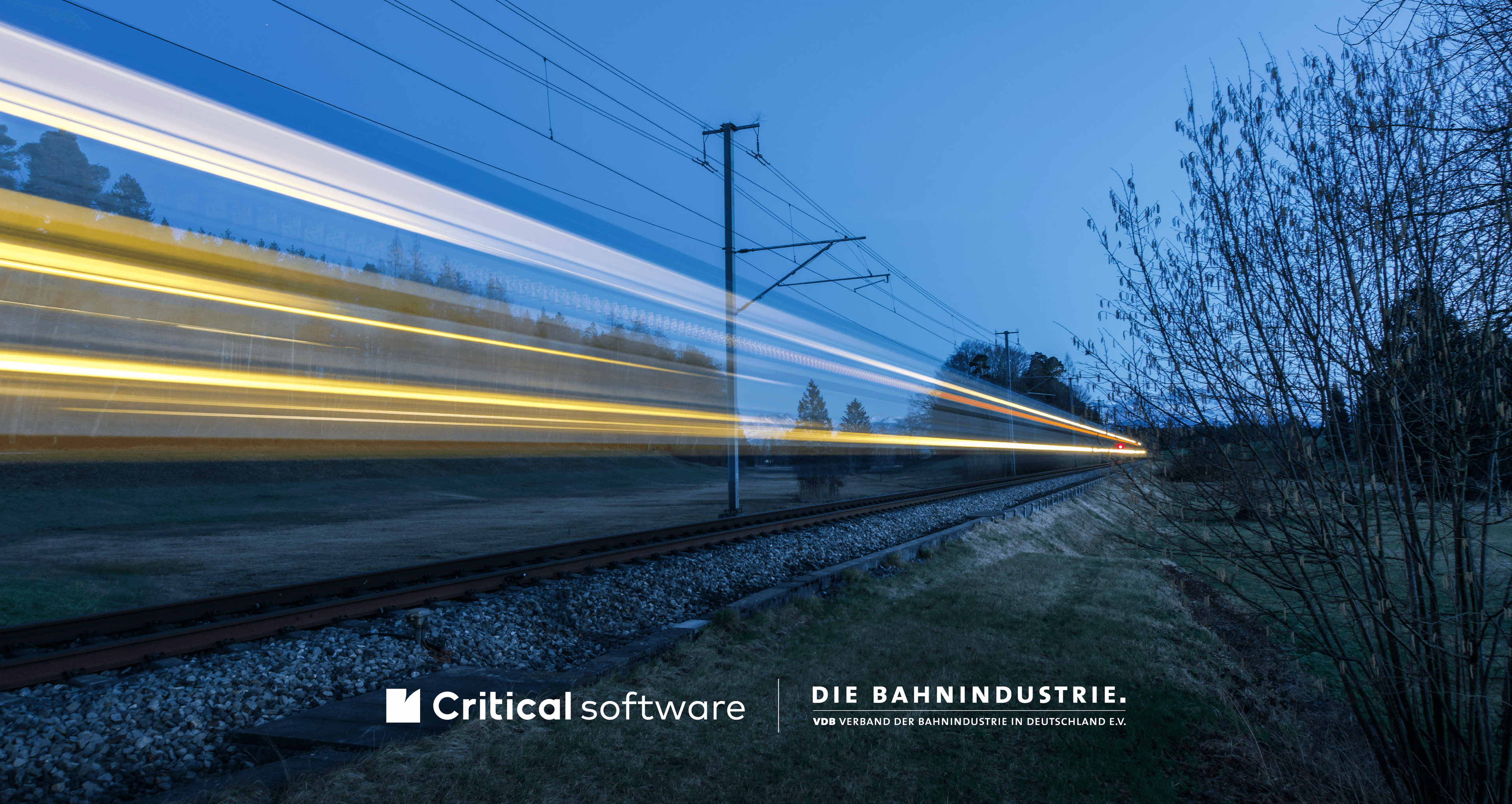 Critical Software Image