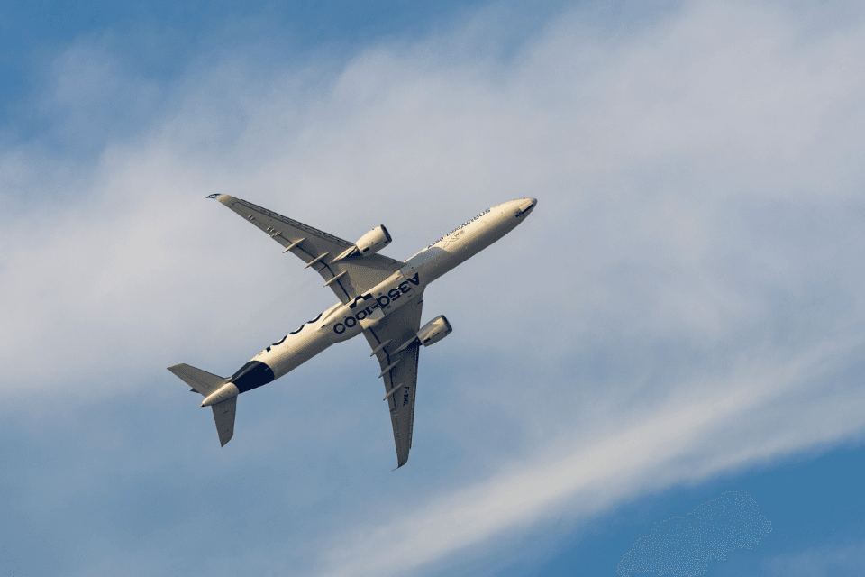 Critical Software Image