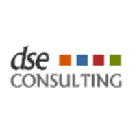 dse consulting